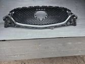 Front bumper upper radiator grill