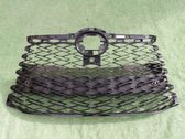 Front bumper upper radiator grill