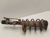Front shock absorber with coil spring