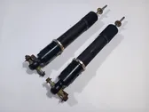 Rear shock absorber/damper