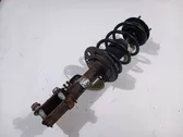 Front shock absorber with coil spring