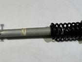Front shock absorber with coil spring