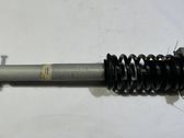 Front shock absorber with coil spring
