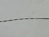Oil level dip stick