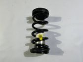 Rear coil spring