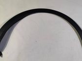 Fender trim (molding)