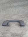 Front interior roof grab handle