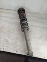 Rear shock absorber with coil spring