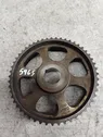 Camshaft pulley/ VANOS