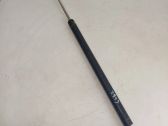 Tailgate/trunk strut/damper