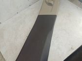 (B) pillar trim (bottom)