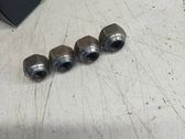 Nuts/bolts