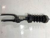 Front shock absorber with coil spring