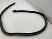 Front door rubber seal