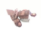 Задний ремень безопасности