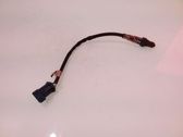 Lambda probe sensor