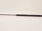 Front bonnet/hood damper/strut