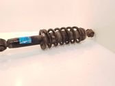 Front shock absorber/damper