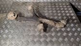 Front lower control arm/wishbone