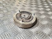Coil spring mount