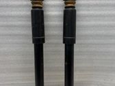 Rear shock absorber/damper