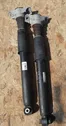 Rear shock absorber/damper