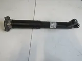 Rear shock absorber/damper