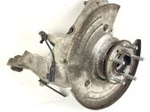 Rear wheel hub spindle/knuckle