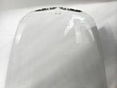 Motorhaube