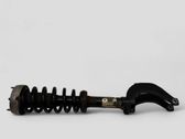 Front shock absorber/damper