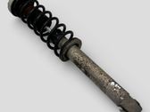 Rear shock absorber with coil spring