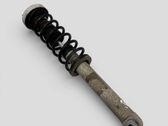 Rear shock absorber with coil spring
