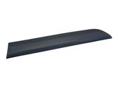 Rear door trim (molding)