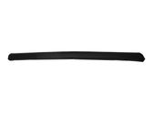 Listón embellecedor de la puerta delantera (moldura)