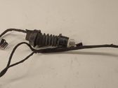 Rear door wiring loom