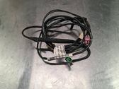 Wires (starter motor)