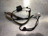 Other wiring loom
