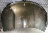 Engine bonnet/hood