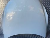 Engine bonnet/hood