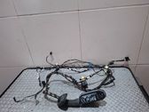 Front door wiring loom