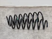 Rear coil spring