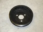 Power steering pump pulley