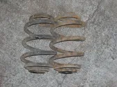 Rear coil spring