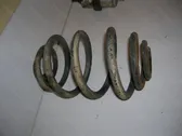 Rear coil spring