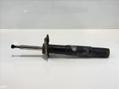 Stoßdämpfer Federbein