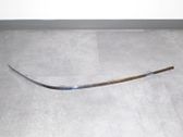 Front bumper corner part panel trim