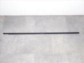 Rear door trim (molding)