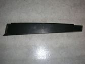 Listón embellecedor de la puerta delantera (moldura)