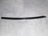 Rear door window/glass frame