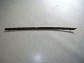 Rear door trim (molding)